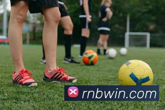 App Interface Preview