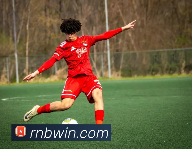 任你博娱乐城官网APP 封面图